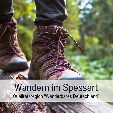 Haus Maximilian By Lamm Hotel Heimbuchenthal